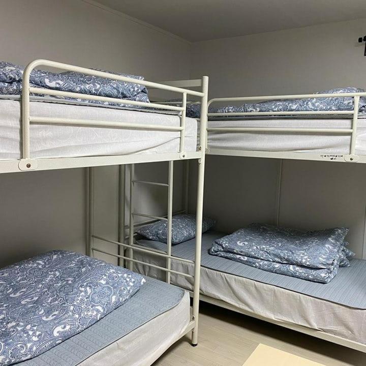 진호 하우스 호텔 서울특별시 객실 사진